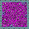 Leopard Print- 6 Color Options